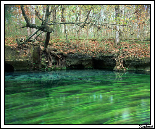  river of grass