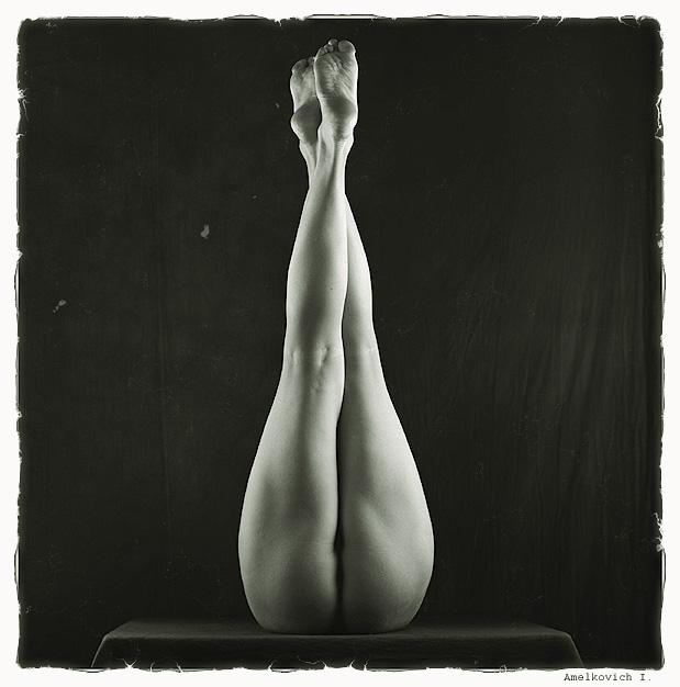  Legs # 11.