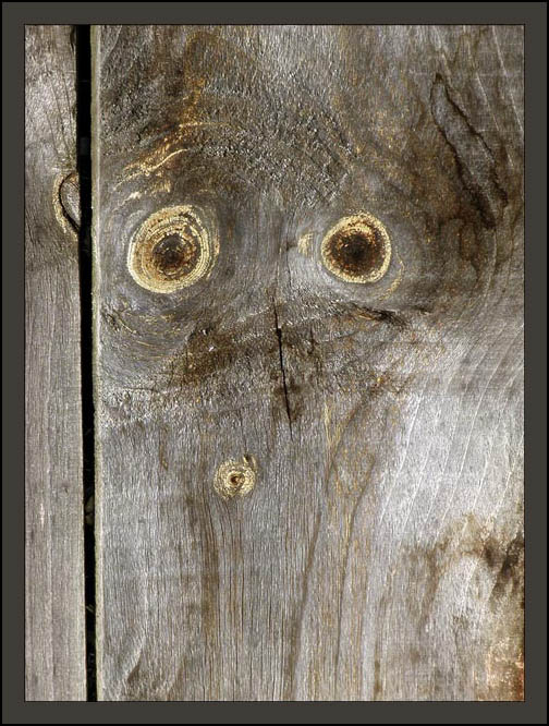  ..