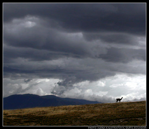  Ecuador