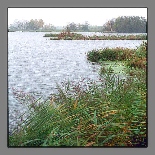  Lake 3. Repost.