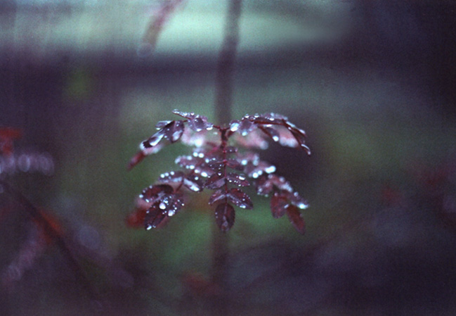       II
