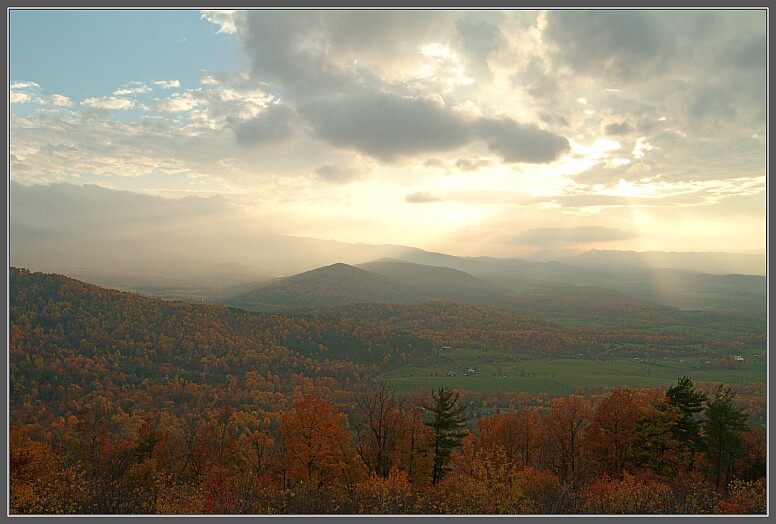    Shenandoah