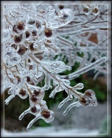  Anatomy of winter