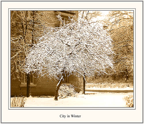  City in Winter