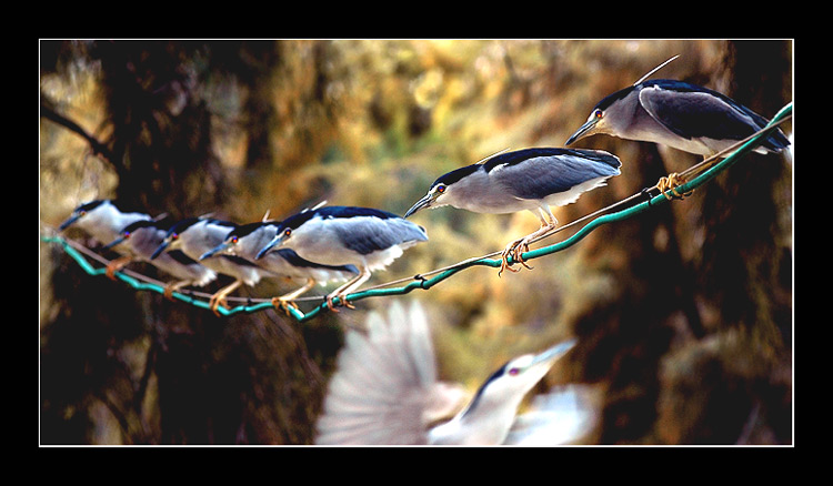  ON HUNTING 
