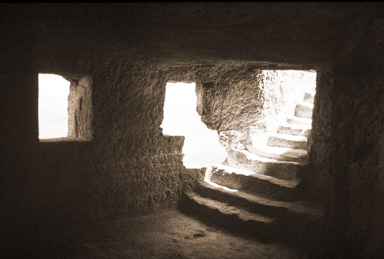  cellar