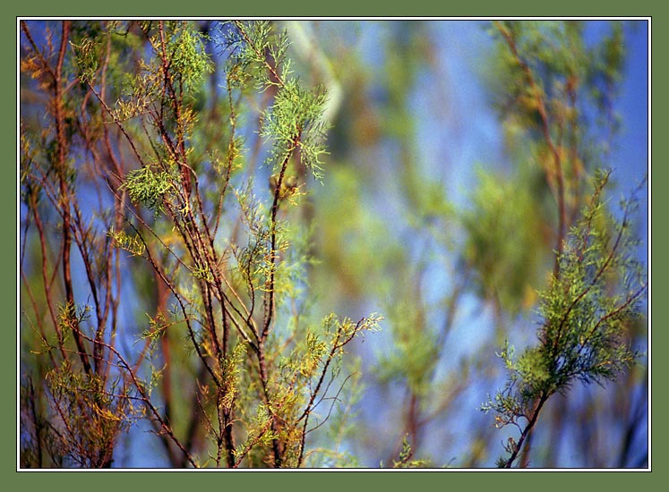  Green space