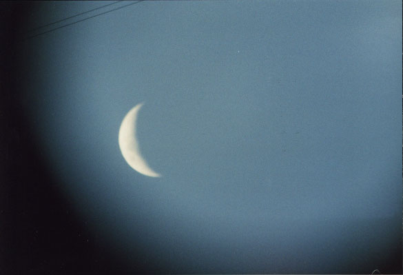   moon