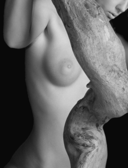  Aesthetic Detachment I