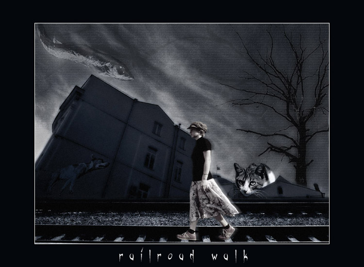  railroad walk