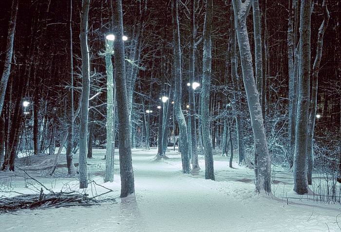  park