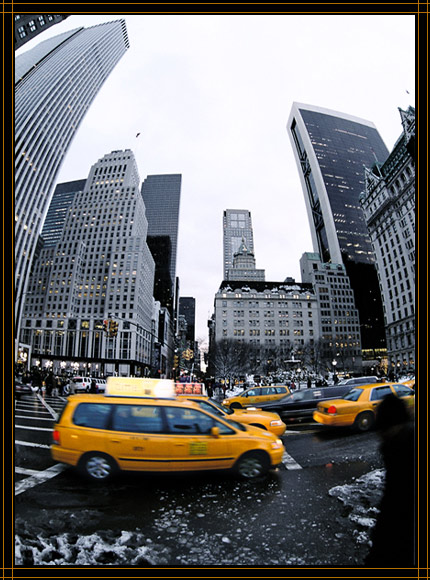  Yellow cabs.