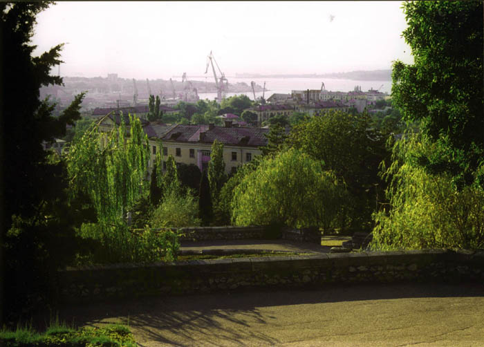   2001 №19