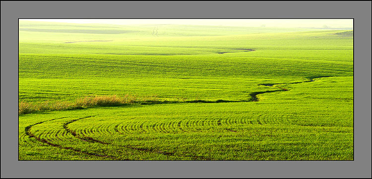  FIELD
