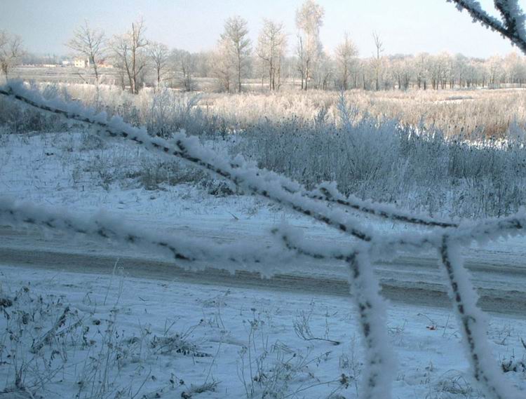  Winter morning