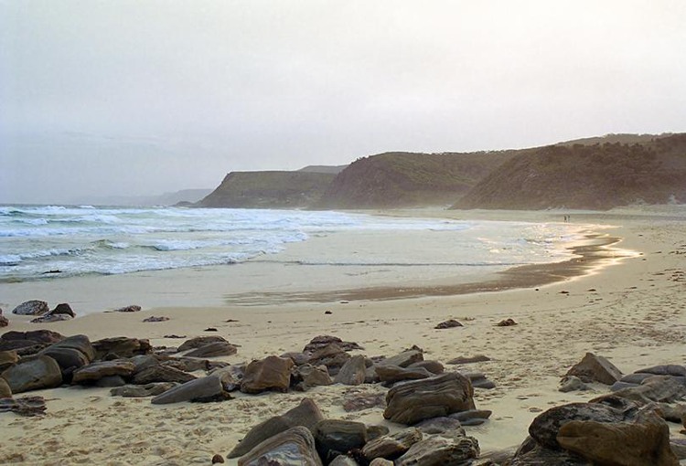  Ocean view