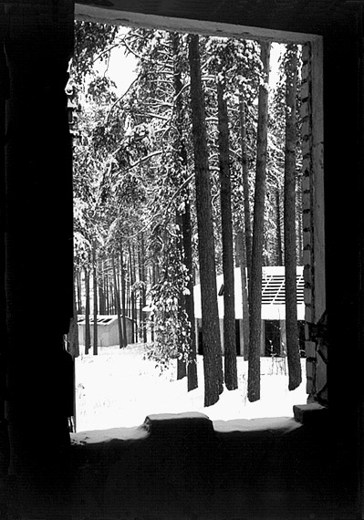  Dead Winter Dead