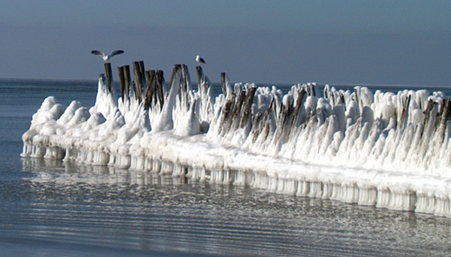  Zima I