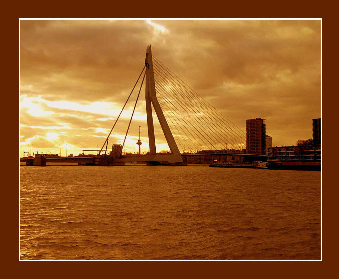  Rotterdam.