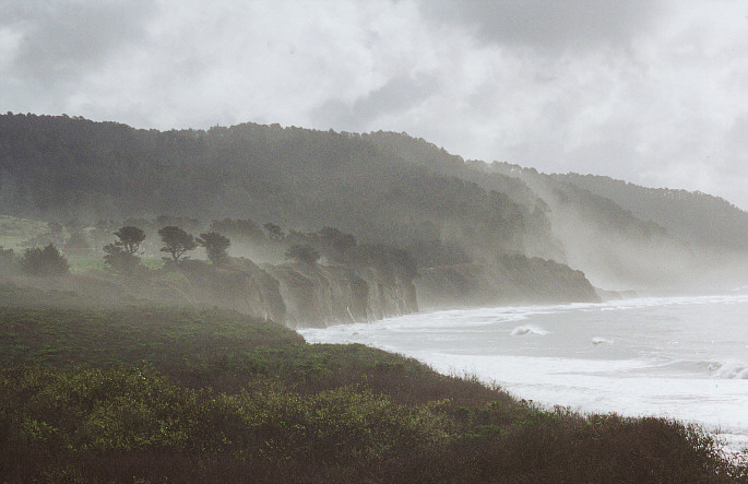   Ano Nuevo