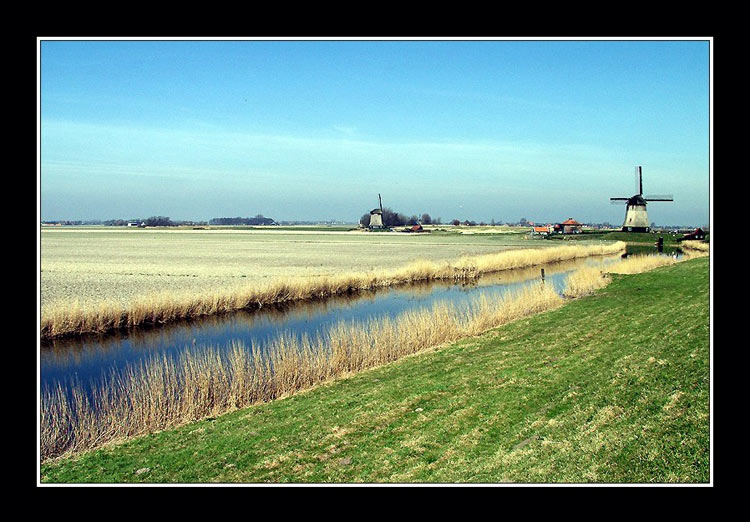  Holland.