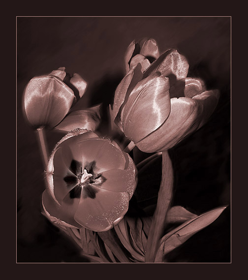  still life - 9