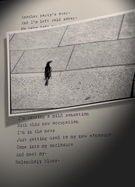  Melancholy Blues