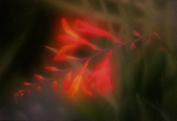    (191-20) 