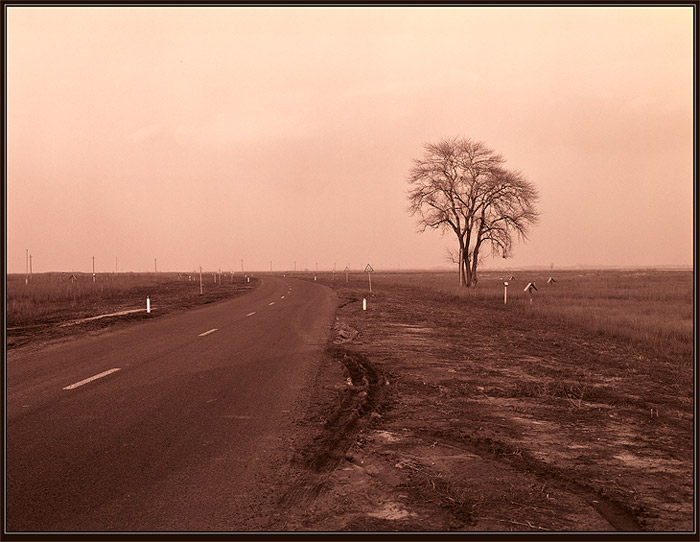  Loneliness
