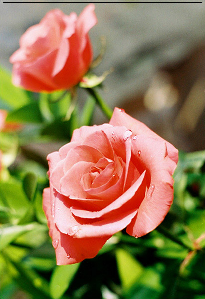  FOR YOU 2