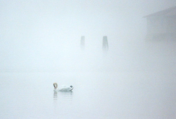  Silence of Finland