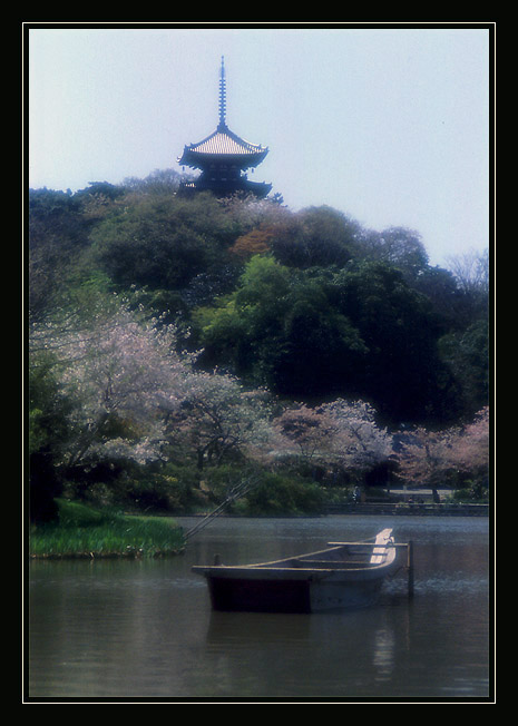  From Japan with love