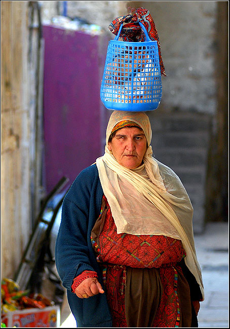  The Arabian Woman 