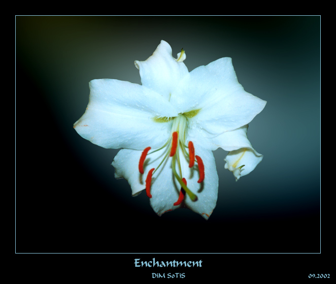  Enchantment