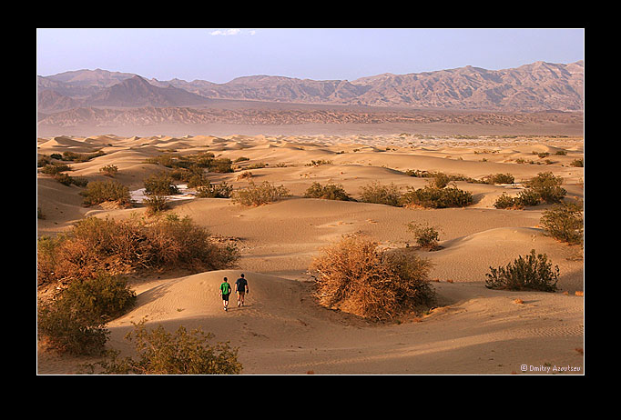  Death Valley II (  )