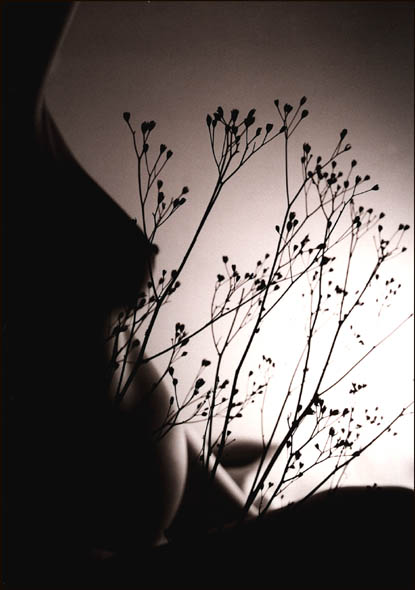  evening