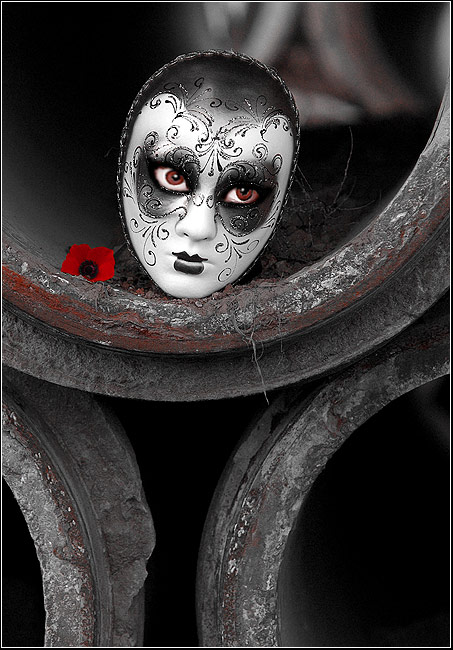       ...................(Photo Art)