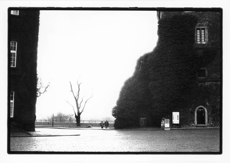  Untitled 80