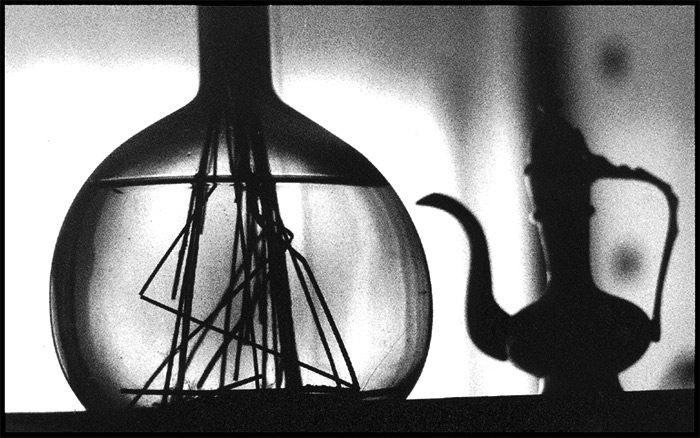  Stillife