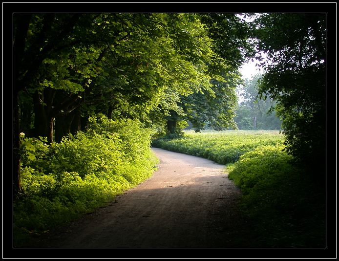  Naturpark Lobau