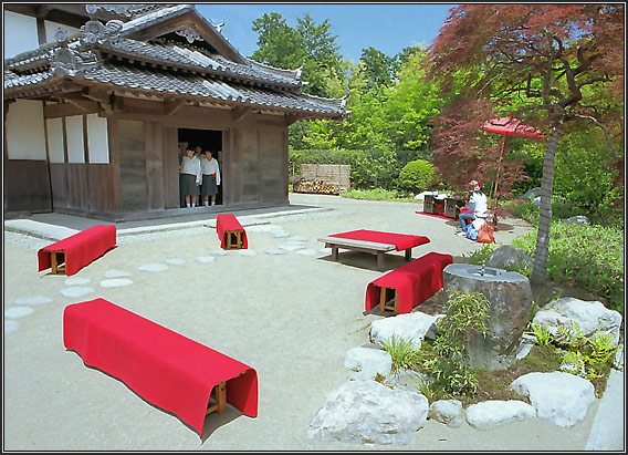  Japanese tea garden