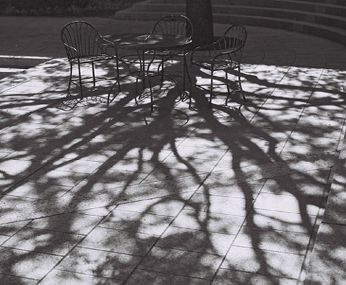  Shadow prism