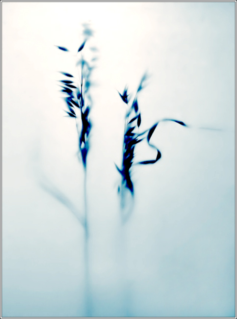  S0004[]