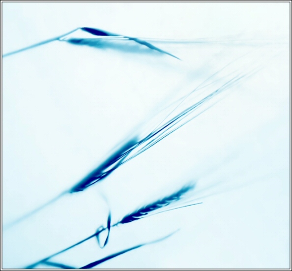  S0003[]