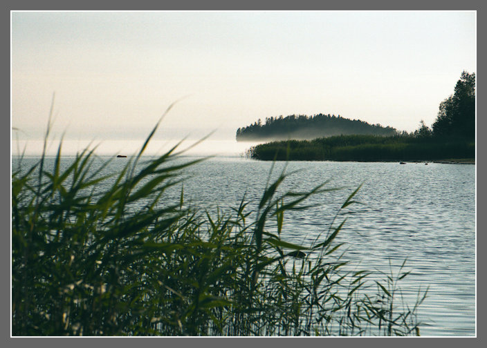   2003 -  