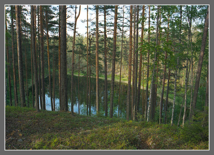   2003 -  