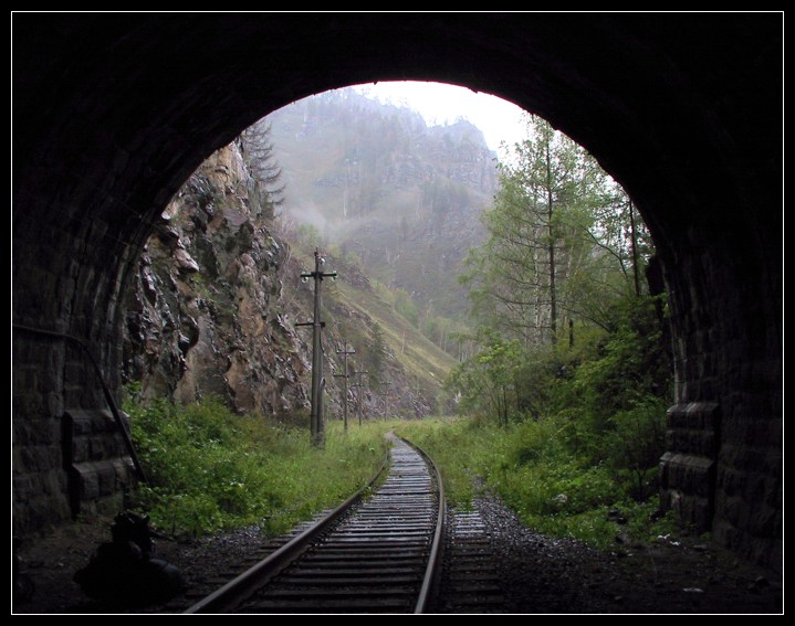  The shelter