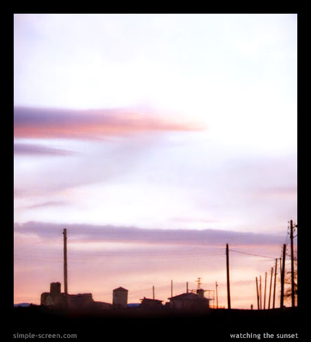  watching the sunset