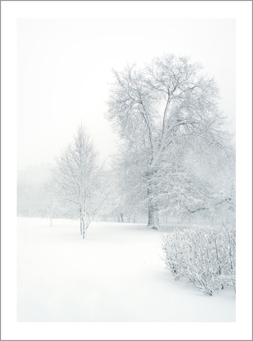  -20 C